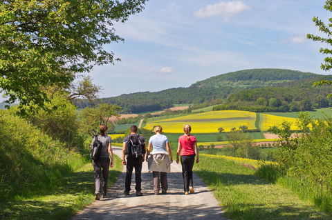 Bild:Wanderer mit Sodenberg im Hintergrund Zuschnitt - 7. Rhöner Wandertag Hammelburg